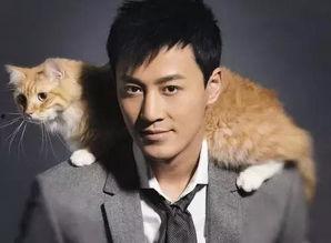 林峰近期爆料新闻事件,揭秘娱乐圈背后惊人真相 第3张 林峰近期爆料新闻事件,揭秘娱乐圈背后惊人真相 第3张